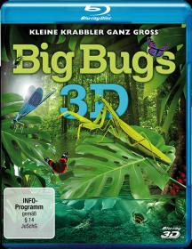 BigBugs(2012)3D-halfOU(Ash61)