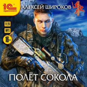 Широков Алексей - Полёт Сокола-01  Полёт Сокола (Рыбин Дмитрий)