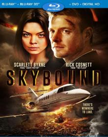 Skybound (2017)[1080p - BDRip - Original Auds [Tamil + Telugu + Hindi + Malayalam + Eng]