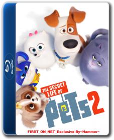 The Secret Life of Pets 2 (2019) 1080p BDRip x264  FIRST_ON_NET_By~Hammer~