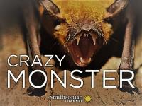 Crazy Monster Series 1 2of8 Monster Bats 1080p HDTV x264 AAC