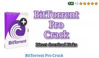 BitTorrent Pro 7.10.5 Build 45374