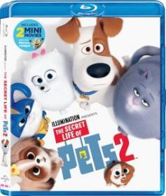 The Secret Life of Pets 2 - Pets 2 - Vita da Animali (2019) [Bluray 1080p AVC Eng TrueHD Atmos 7 1 - Ita Por Hin eAc3 7 1 - Eng Ara Isl Ac3 5.1 - Multisubs]