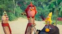 The Angry Birds Movie 2 (2019)[720p HDRip - HQ Line Audio - [Hin + Telugu + Tamil + Eng] - x264 - 950MB - ESubs]