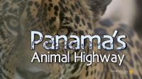 Smithsonian Panamas Animal Highway 720p HDTV x264 AAC