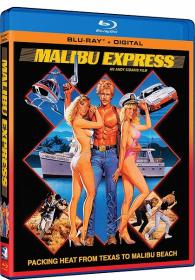 Малибу-экспресс 1985 BDRemux 1080p R G  Goldenshara