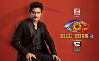 Bigg Boss (2019)  Telugu - Season 3 - DAY 100 - HDTV - 350MB