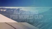 Горные лыжи  Кубок мира 2019-2020  Зёльден (Австрия)  Мужчины  Слалом-гигант ts