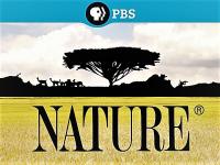 PBS Nature Series 38 Part 3 Undercover in the Jungle 1080p HDTV x264 AAC