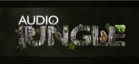 AudioJungle - Christmas Pop Dance 24936151