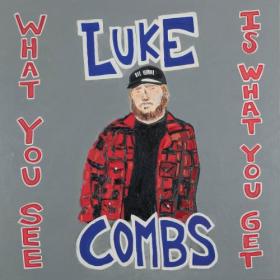 Luke Combs - What You See Is What You Get [2019]