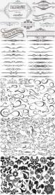 Vector graphic elements in calligraphic or floral design