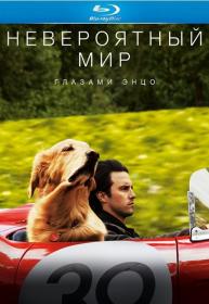 Невероятный мир глазами Энцо (2019) BDRip-AVC <span style=color:#39a8bb>[-=DoMiNo=-]</span>