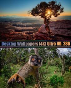 Desktop Wallpapers (4K) Ultra HD. Part (286)