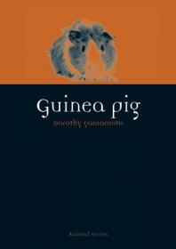 Guinea Pig (Animal Series) by Dorothy Yamamoto