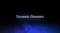 Dynamic Genomes Series 1 1of2 Hidden Treasures in our DNA 1080p HDTV x264 AAC