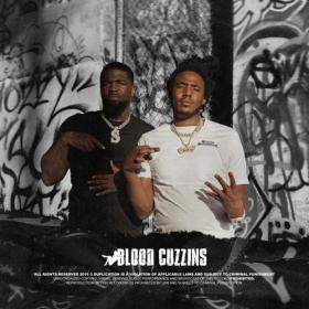 Mozzy & Tsu Surf - Blood Cuzzins (2019) Mp3 320kbps Album [PMEDIA]