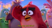 The Angry Birds Movie 2 (2019) [BluRay] [1080p]