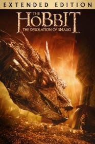 The Hobbit  Desolation of Smaug  2013 (Extended Edition) Hybrid Open Matte 1080p