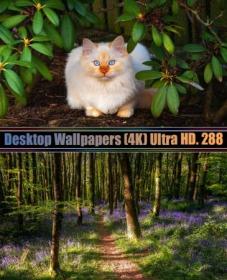 Desktop Wallpapers (4K) Ultra HD. Part (288)