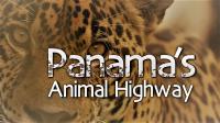 Panamas Animal Highway 1080p HDTV x264 AAC