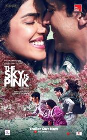 The Sky Is Pink (2019)[Proper Hindi - HDRip - x264 - 250MB - ESubs]