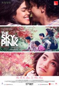 The Sky Is Pink (2019)[Proper Hindi - 720p HDRip - x265 - HEVC - DD 5.1 - 900MB - ESubs]