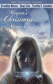 Megans Christmas Miracle (2018) 720p Web X264 Solar