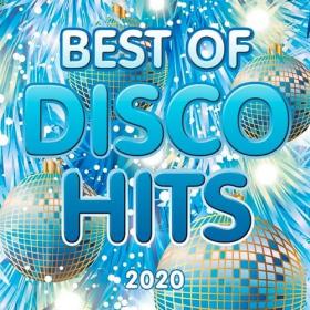 VA - Best of Disco Hits (2020) MP3
