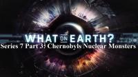 What on Earth Series 7 Part 3 Chernobyls Nuclear Monsters 1080p HDTV x264 AAC