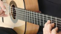 Udemy - Flamenco Guitar