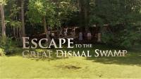 Escape to the Great Dismal Swamp 1080p HDTV x264 AAC