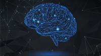 Udemy - Neuroplasticity SUPERPOWER- How To Rewire Your Brain