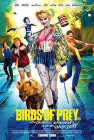 Birds Of Prey (2020) 720p English+ Hindi HQ Dvdscr - x264 - 1.3GB