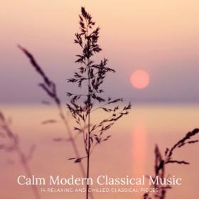 VA - Calm Modern Classical Music  14 Relaxing and Chilled Classical Pieces (2020) MP3