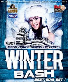 Winter Bash  Mega Dance Hands Up Party (2020)