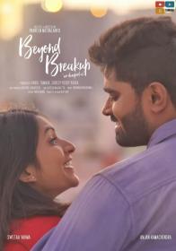 Beyond Breakup (2019) S1 [Telugu 720p HDRip - x264 - 1.4GB]