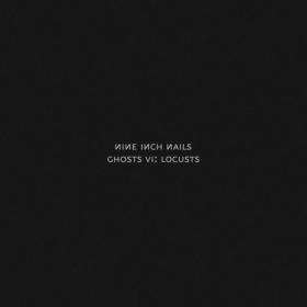 Nine Inch Nails - Ghosts VI Locusts (2020) [FLAC]