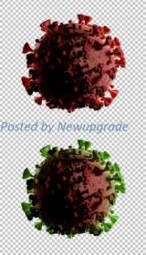 Microscopic View of Coronavirus Disease Mockup 333270178