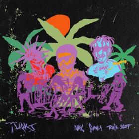 Turks (feat_ Travis Scott) Rap Single~(2020) [320]  kbps Beats⭐