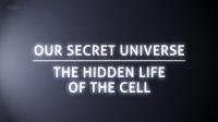 BBC Our Secret Universe The Hidden Life of the Cell 1080p HDTV x265 AAC