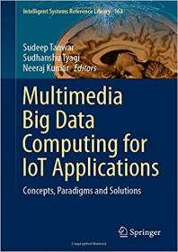 Multimedia Big Data Computing for IoT Applications - Concepts, Paradigms and Solutions
