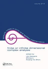 Finite or Infinite Dimensional Complex Analysis