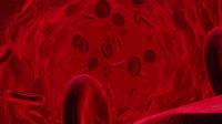 Videohive - Blood Cell Hd 26580366