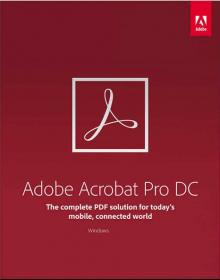 Adobe Acrobat PRO DC 2020.009.20063 FULL