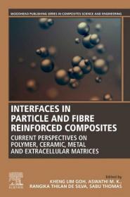 Interfaces in Particle and Fibre Reinforced Composites - Current Perspectives on Polymer, Ceramic, Metal