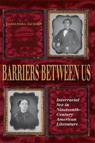 Barriers between Us - Interracial Sex in Nineteenth-Century American Literature (Blacks in the Diaspo)