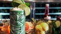 Udemy - RUM - Essentials in cocktails & bartending