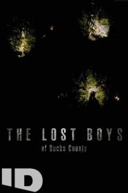 The Lost Boys of Bucks County 2020 720p WEBRip 800MB x264<span style=color:#39a8bb>-GalaxyRG[TGx]</span>