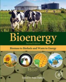 Bioenergy - Biomass to Biofuels and Waste to Energy, 2nd Edition
